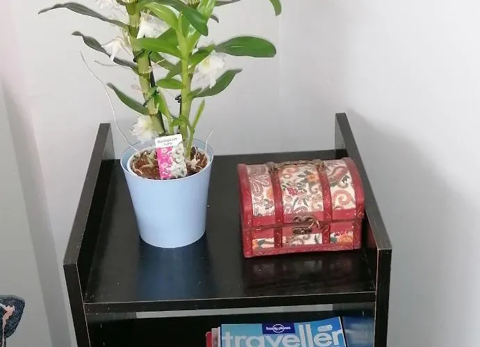 Casa Iriense Vut-co-004308 * Padrón